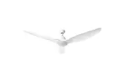 Devanti 64'' Ceiling Fan DC Motor w/Light w/Remote - White