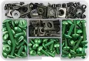 Connector Motorcycle Fairing Bolts Screws Nuts for Kawasaki Z750 Z900 Z1000 Z800 for Versys 650 Er6n for Ninja 400 300 Z1000sx(Green)