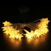 Battery Operated Led String Lights Ejoyous 6m 19ft 40 Star Shape LED Lights US