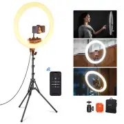 NEEWER Professional 18''Ultra Thin 45W Ring Light with Stand and Phone Holder