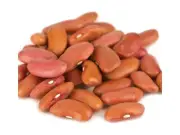 Light Red Kidney Bean Beans 5 Pounds Free Shipping