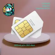 DATA ONLY SIM ~ 300mb p/month 360day USA CANADA MEXICO Global-PTT WURUI YANTON