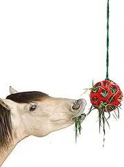 - Feeding station, treat ball, hay feeder, toy ball hanging, long service life, hanging hay feeder, toy ball for goat, sheep, stress relief