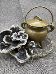 Cauldron (small) - Cast Iron (Gold) Witchcraft Wiccan Spell casting