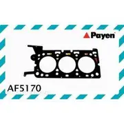 Payen Head Gasket - AF5170