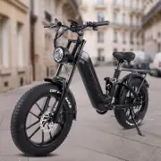 KRISTALL V20 20" Electric Bicycle Ebike Motorcycle 1000W 48V MTB Ebike 45km/h