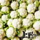 【上野物產】急凍生鮮切塊白花椰菜 x2包(500g±10%/包)