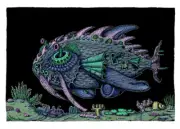 David Welker Lens Fish 2019 Rare Print Signed Numbered Poster Phish