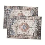 2 Pcs Washable Indoor Doormat,Non Slip Retro Floor Mat Area Rug 24" x 36" retro