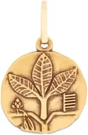 [Alex and Ani] CS16C119RG,Ash Charm,Rafaelian Gold,Gold, Add-on Charms, One Size, Brass, No Gemstone