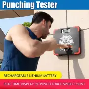 Boxing Punching Strength Tester Agility Fist Power Training Wall Target Home Gym