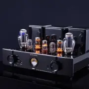 Willsenton R300 Plus 8W+8W Tube Amplifier 300B Single-Ended Class A Integrated