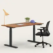 Recess Active Bundle | Ergonomic Chair Desk | Home Office Furniture Packages, Night / Small - 120W x 70D (cm) / Walnut/Black