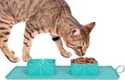 Multipurpose Foldable Bowls for Dogs | Lightweight Feeding Bowls for Camping, Walking