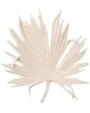 Jamie Young Island Leaf Object 3