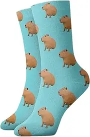 [Rajfoo] Capybara Painting Classics Compression Socks Athletic Long Crew Socks For Men Women 11.8inch(30cm), Brown, One size