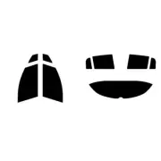 For Renault Vel Satis 2002-04 Full Pre Cut Window Tint Kit Front & Rear Film