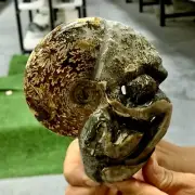 1.17LB Rare! Natural Tentacle Ammonite FossilSpecimen Shell Healing Madagascar