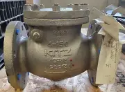 4" Kitz Flanged Swing Check Valve, 150#, SS Body, SS Disc, INT Seat