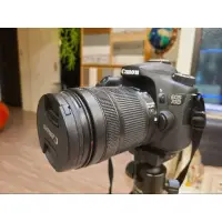 在飛比找蝦皮購物優惠-canon 70D，canon eos 70d單眼數位相機，