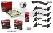Tune Up Kit 2008-2016 Ford F-450 F-550 SuperDuty V10 6.8L Ignition Coil DG521 (for: Ford)