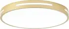 Gold Ceiling Light Flush Mount LED, 36W 15 Inch Kitchen Light Fixture Ceiling Mo