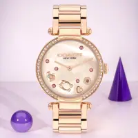 在飛比找momo購物網優惠-【COACH】母親節廣告款 CARY系列流轉水晶女錶-34m