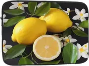 Lemon and Flower Laptop Sleeve 13 inch Shockproof Protective Computer Carrying Cover Water Resistant Computer Bag Laptop Case Briefcase Handbags Portable Laptop Bag Gifts for Men Women