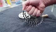 Scratching Sensory Play Wheel | Scratcher | Wolverine Claws | Device for Kink Gi