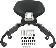 Brilluxa Rear Backrest, Compatible with NSS350 Forza, Motorcycle Seat Cushion Support Sponge Padding, Backrest Mounting Pad for Scooter