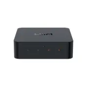 Wiim Pro Wireless Audio Streamer Airplay 2 And Chromecast