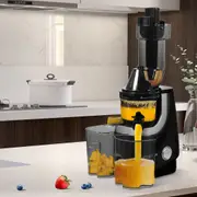 Spector Slow Juicer Cold Press Whole Fruit Juice Extractor Vegetable Processor