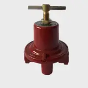 1PC NEW FOR REGO 597FC Propane Regulator Pressure Reducing Valve