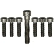 Titanium Stem bolts Torx head Best in Strength and Durability