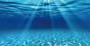 Dtekoj Natural Undersea Aquarium Background, Underwater Ocean Sunlight Fish Tank Background 48X24IN with 8 EVA Double-Sided Tape