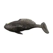 Target Fish Species with this 9g5 6cm Paddle Tail Swimbait Lure