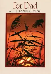 Religious Vintage THANKSGIVING Card FOR DAD, Psalm Pray by Morning Star 1985 +✉