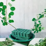 Floral Foam Bowl Set Fresh Wet Foam Block for Wedding Party Gardening