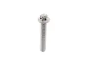 Drive Belt Tensioner Bolt For X3 328i xDrive X5 528i Z4 325xi 325i 128i PG51S2 (for: BMW)
