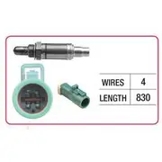 RAE Oxygen Sensor - OX759