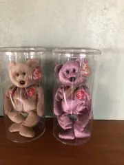 Ty Beanie Babies 1999, And 2000 Signature Bears New In Display Cases lot of 2