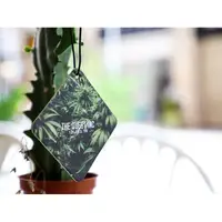 在飛比找蝦皮購物優惠-【QUEST】現貨 QUEST AIR FRESHENER 