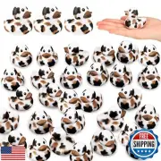 Poen 12 Pcs Cow Ducks Mini Cow Rubber Duck Bulk Baby Bath Toy Cowboy Theme Ba