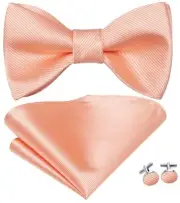 Silk Self Tie Bow Ties for Men Adjustable Men's Bowtie Handkerchief Light Pink