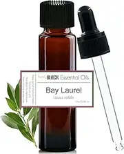 purelyBlack Bay Laurel Essential Oil [ Laurus nobilis ] 10ml | Bay Laurel Oil | Laurel Leaf