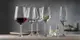 德國 Spiegelau・Style系列・勃根地紅酒杯・波爾多紅酒杯・白酒杯・香檳氣泡酒杯・水杯