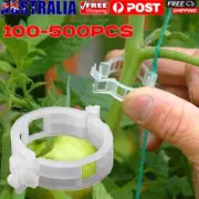 100-500Pc Tomato Greenhouse Ties Garden Plant Support Veggie Clips Trellis Twine