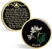 CHURYUML Handmade Snowdrop Resin Sobriety Coin - AA Coins with Real Dried Pressed Flowers, Inspirational Sober Chip Recovery Medallions Sobriety Gifts for Women & Men Celebrating Milestones