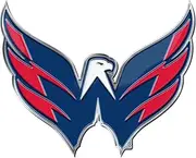 ProMark NHL Color Auto Emblem