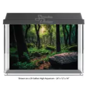 Sun Rays Nature Forest Polyester Fish Tank Glass Backdrop Aquarium Background
